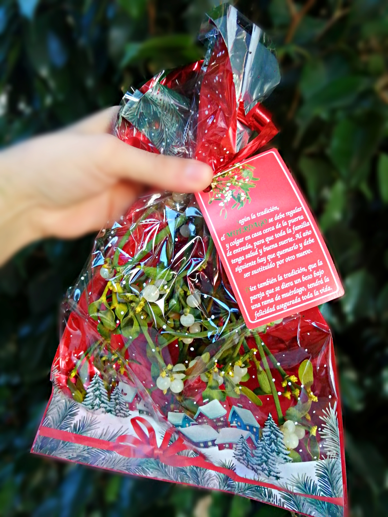 Mini Saco de Muérdago