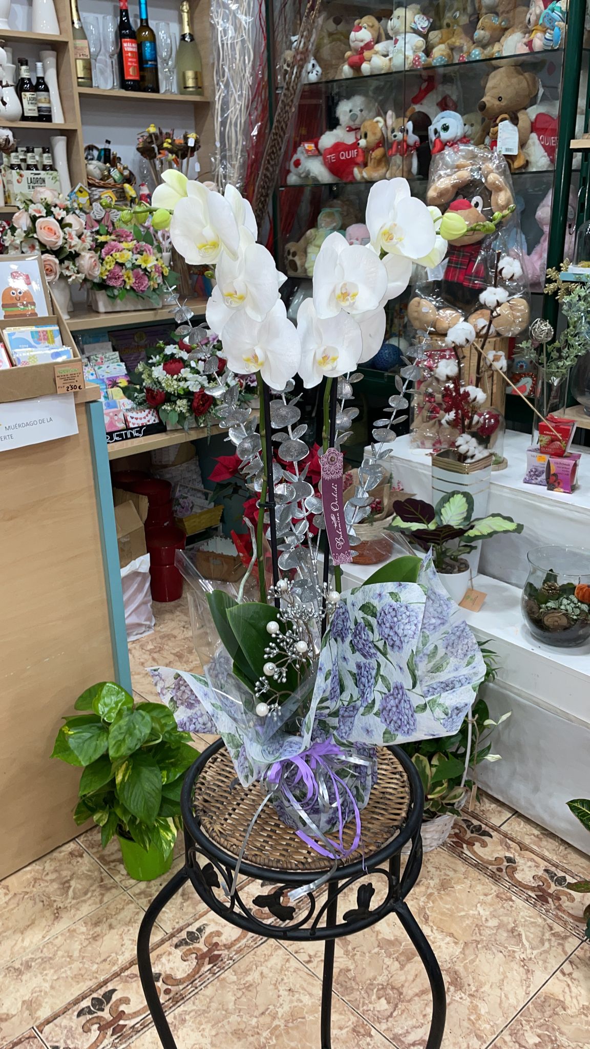 Orquídea Especial Reyes Magos