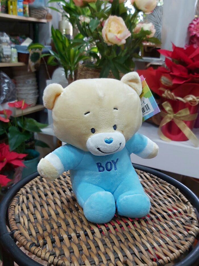 Osito de Peluche