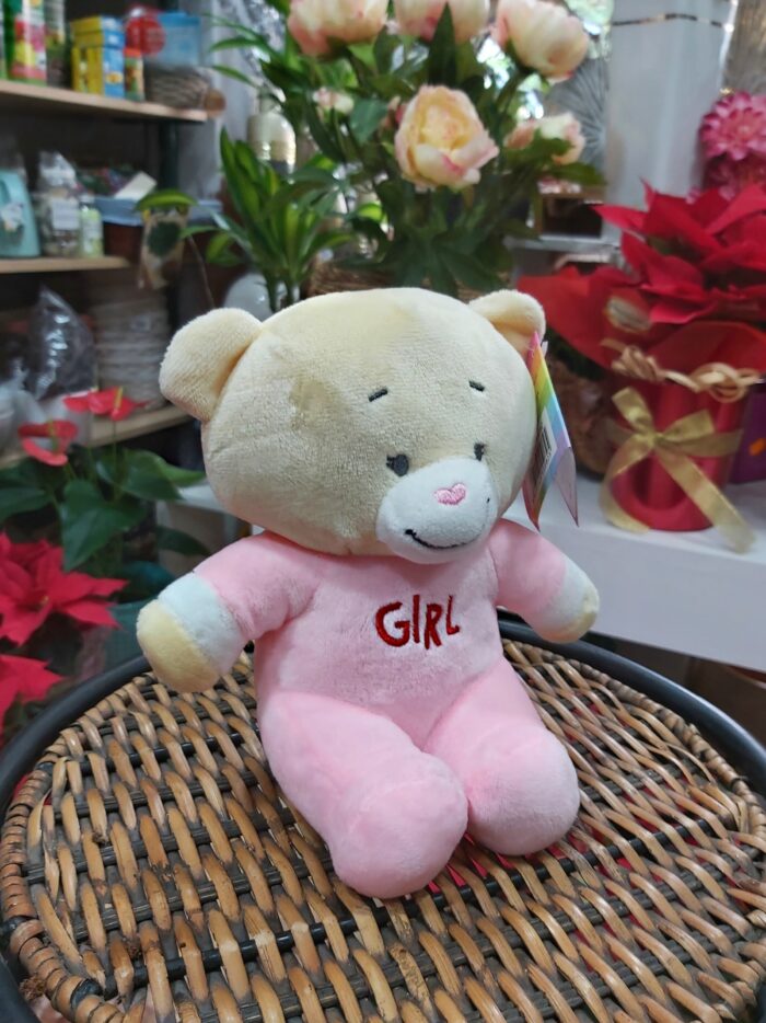 Osito de Peluche - Imagen 2