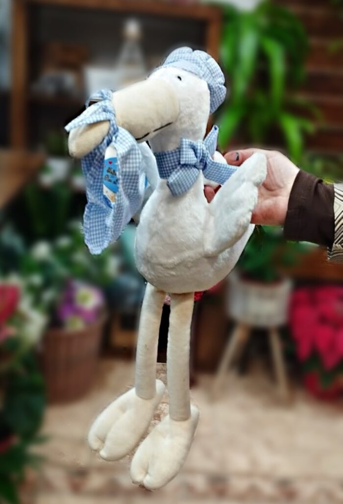 Cigüeña celeste pequeña