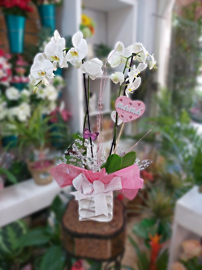 Pack: Orquídea Blanca, Cerámica y Pick "Mi Mamá Me Mima"
