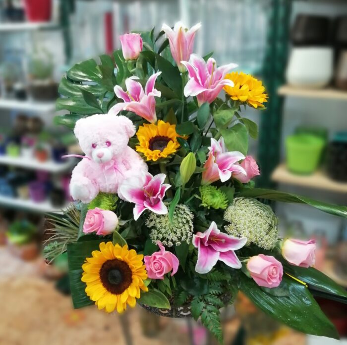 Centro Girasoles y Lilium "Los Guindos"