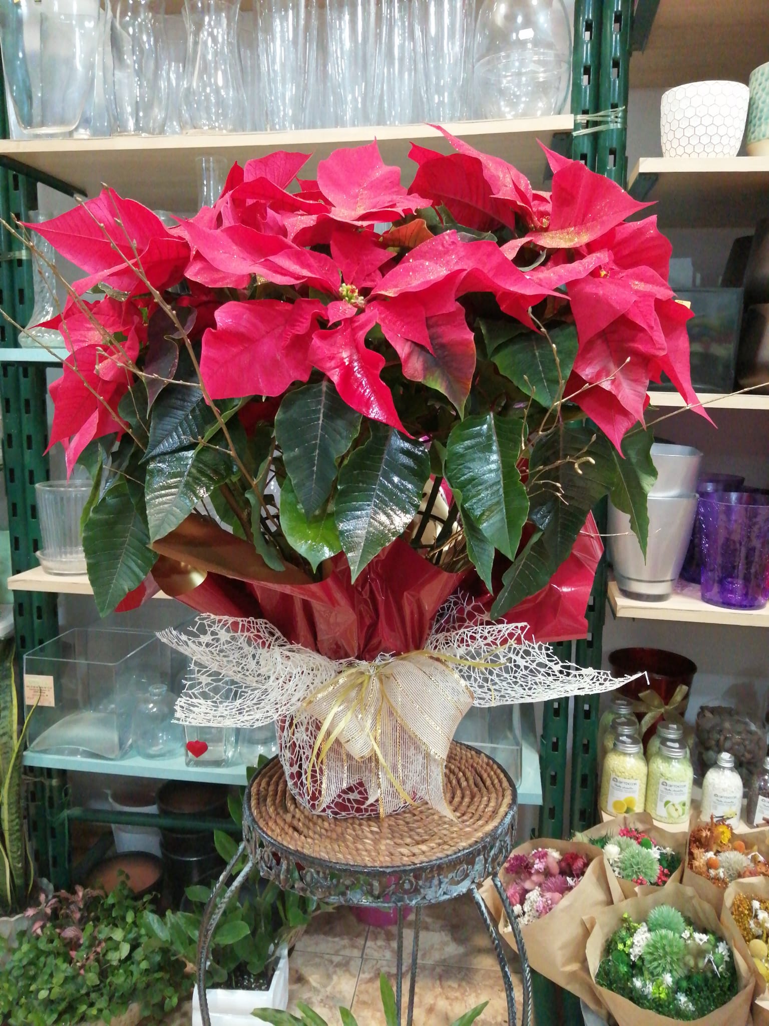 Pascuero Grande - Imagen 2