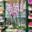 Elegantes arreglos florales para el Día de la Madre en Málaga