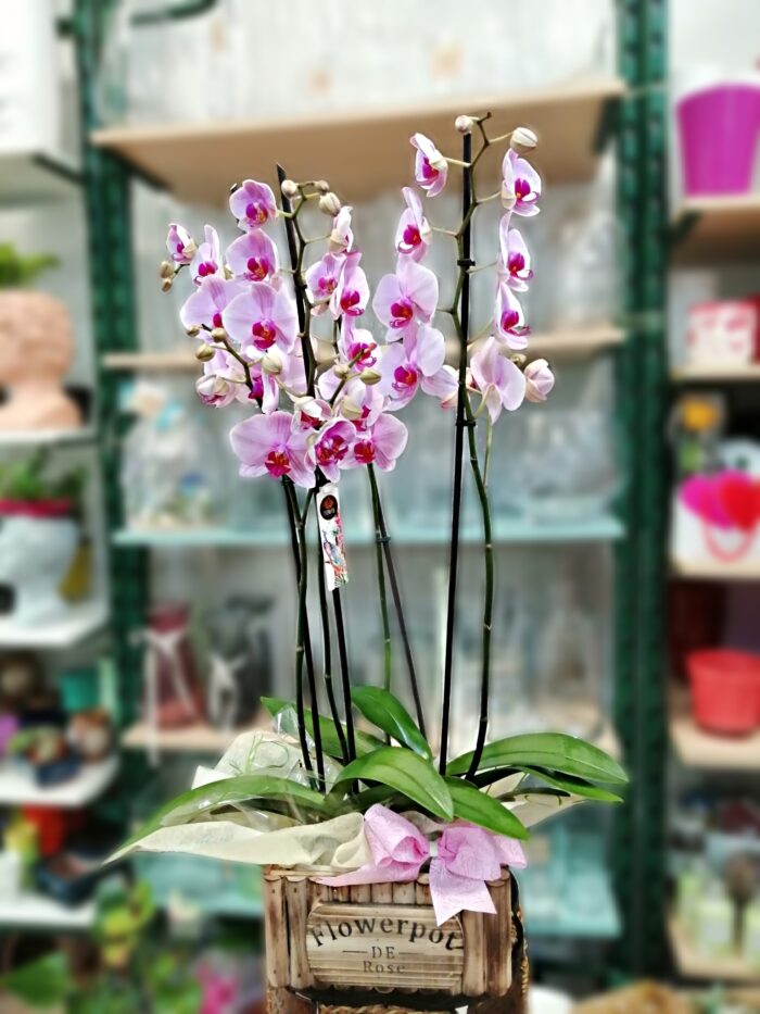 Elegantes arreglos florales para el Día de la Madre en Málaga