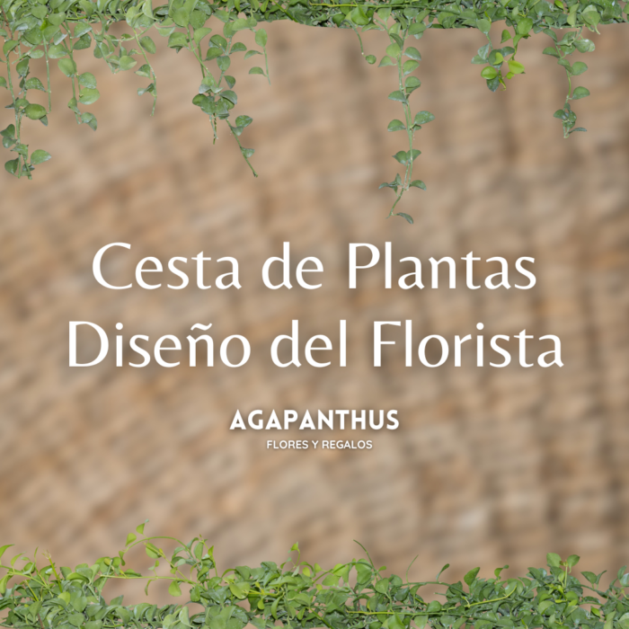 Cesta de Plantas Diseño del Florista "Cenachero"