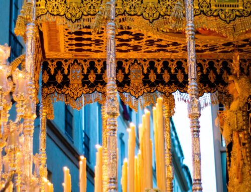 Celebra el Domingo de Ramos en Málaga con una Palma de Agapanthus